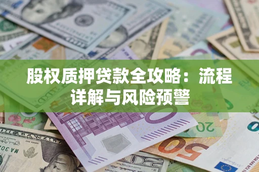 北京股权质押贷款全攻略：流程详解与风险预警