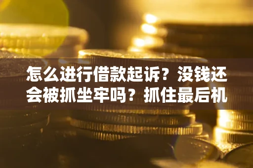 北京怎么进行借款起诉？没钱还会被抓坐牢吗？抓住最后机会！