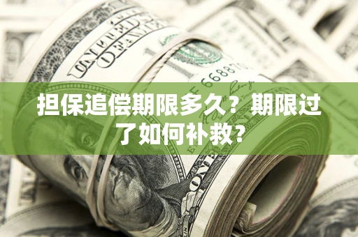 北京担保追偿期限多久？期限过了如何补救？