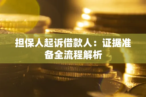 北京担保人起诉借款人：证据准备全流程解析