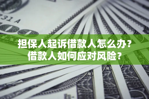 北京担保人起诉借款人怎么办？借款人如何应对风险？