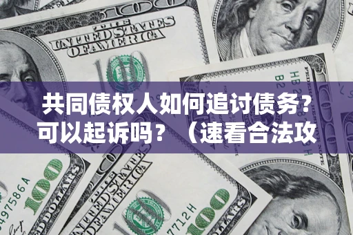 北京共同债权人如何追讨债务？可以起诉吗？（速看合法攻略）