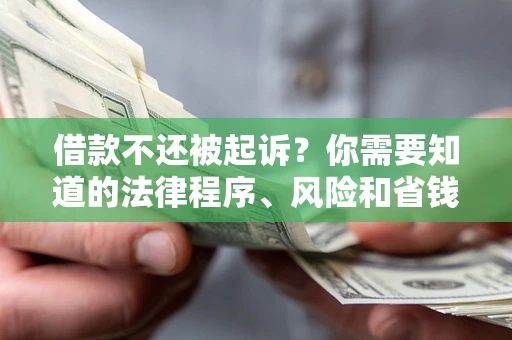 北京借款不还被起诉？你需要知道的法律程序、风险和省钱技巧